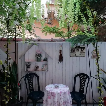 Art Orchidea Къща за гости