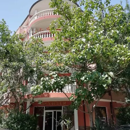 Art Orchidea Поморие