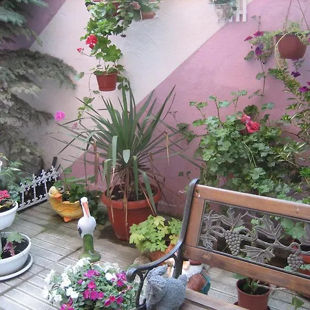 Guest house Art Orchidea Pomorie