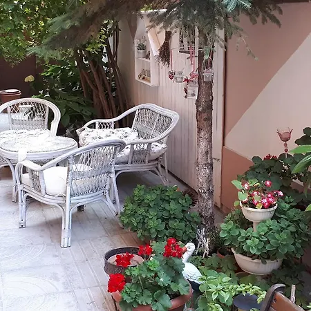 Guest house Art Orchidea 3*