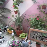 Gæstehus Art Orchidea Pomorie