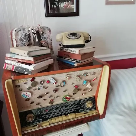 Art Orchidea 게스트하우스