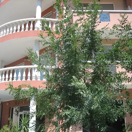 Art Orchidea 포마리