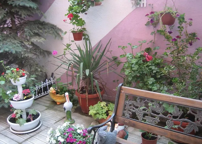 Gasthof Art Orchidea Pomorie